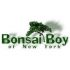 BONSAI BOY