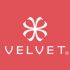 Velvet Eyewear Logo