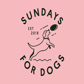 Sundays For Dogs