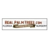 RealPalmTrees